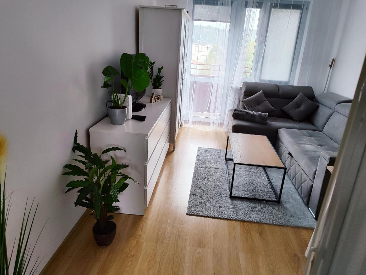 Apartament Sweet Dreams Apartment Sanok Exterior photo